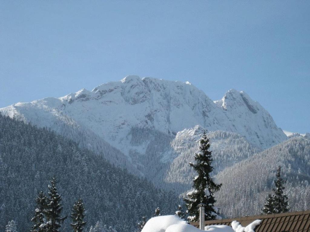 Apartments Zakopane Center Buitenkant foto